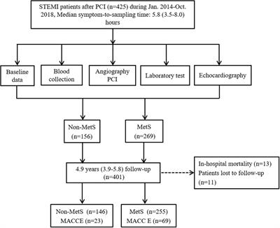 Long-term prognostic value of macrophage migration inhibitory factor in ST-segment elevation myocardial infarction patients with metabolic syndrome after percutaneous coronary intervention